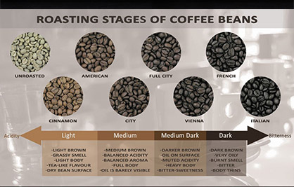 Roasting Stage of Coffee Bean